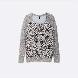 KUT from the kloth top